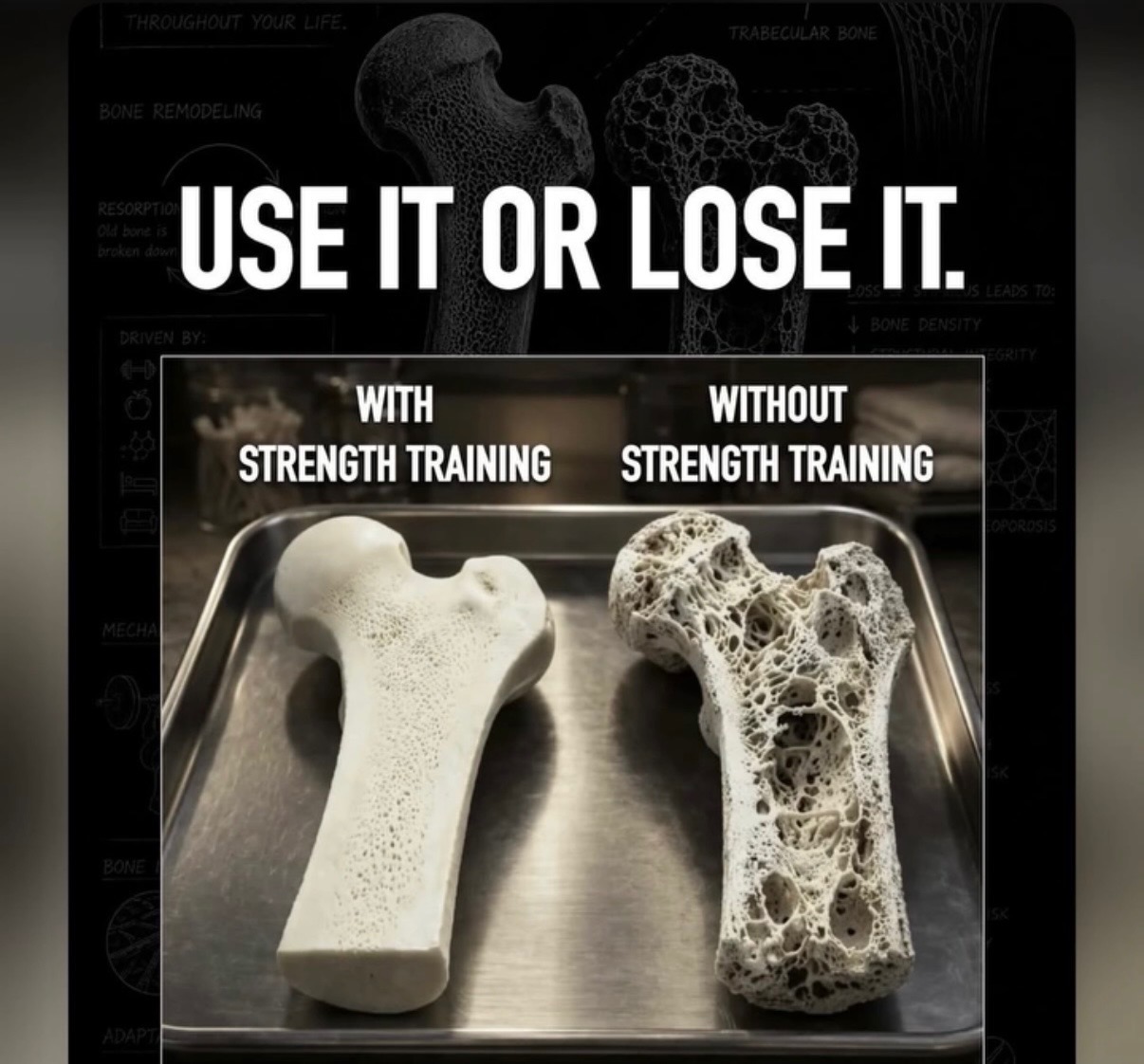 Use It or Lose It — side-by-side bone comparison showing dense, solid bone with strength training on the left versus porous, honeycomb bone without strength training on the right
